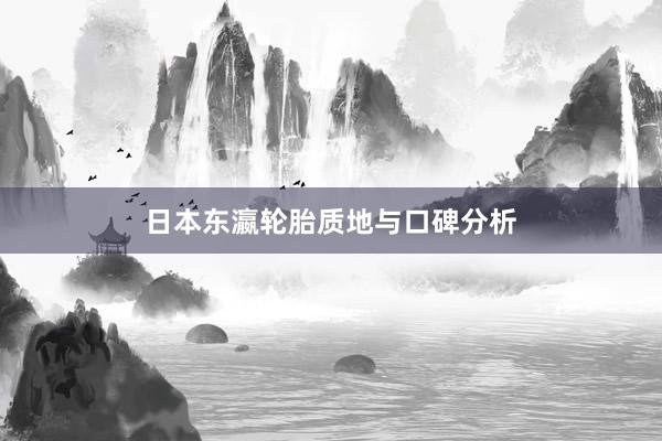 日本东瀛轮胎质地与口碑分析